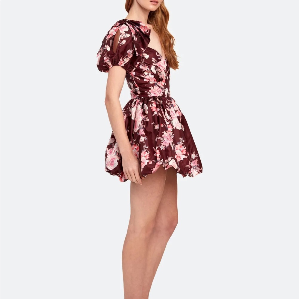 NWT LOVESHACKFANCY Hansel Floral-Print Fit & Flare Dress